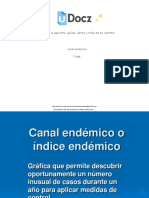 Canal Endemico 130726 Downloable 2664478 PDF