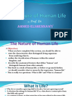 Ahmed Elshennawy: Prof. DR