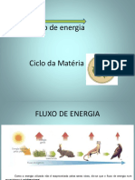Aula 3 CICLOS BIOGEOQUIMICOSpptx PDF