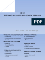 LP 10 Patologia Aparatului Genital Feminin