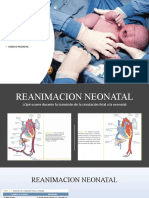 Reanimacion Neonatal 2021