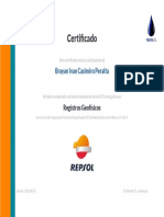 Certificad Registros Geofísicos REPSOL