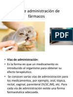 Vías de Administración FB 2023 PDF