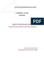 Direito Processual Penal Final 1 PDF