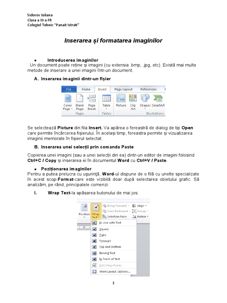 Inserarea Și Formatarea Imaginilor | PDF