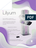 Flyer Lilyum 2022 V3 JSM