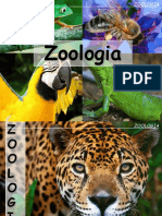 Aula Zoologia - Gonzaga PDF