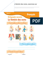 Orthographe Le Fã©minin Des Noms Exercices Sur Laccord - 2 PDF