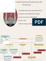 Mapa Conceptual