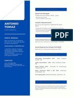 Currículo Antonio Tomaz Piloto PDF