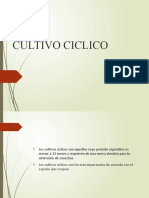 Cultivo Ciclico