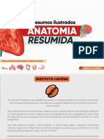 Anatomia Resumida Resumos Ilustrados Diretos Ao Ponto PDF