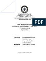 Informe Final 