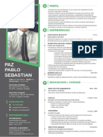 Curriculum Pablo Paz