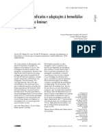 Percepções e adaptações à hemodiálise como espaço liminar