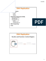 DNA Replication Mechanism