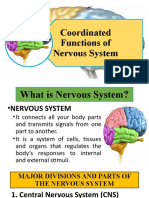 Nervous System