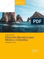 WRI - CEO Mexico and Columbia - Appointment Details - Spanish Final PDF