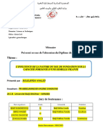 Boudjerda Bouhlassa2