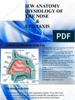 Review A & P Nose and Epistaxis