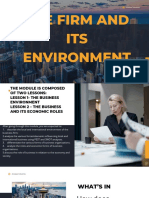 The Firm and Its Environment