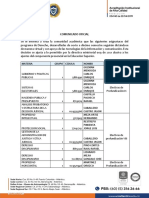 Comunicacion Asignaturas Virtuales PDF