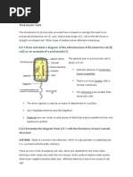 Prokaryotic Cells: Cell Wall: Made of A Murein (Not Cellulose), Which Is A Glycoprotein or Peptidoglycan