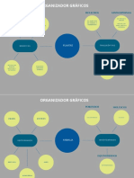 Organizador Gráficos: Gimnospermas Helechos