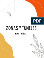 Zonas y Tuneles de La Mano y Muñeca