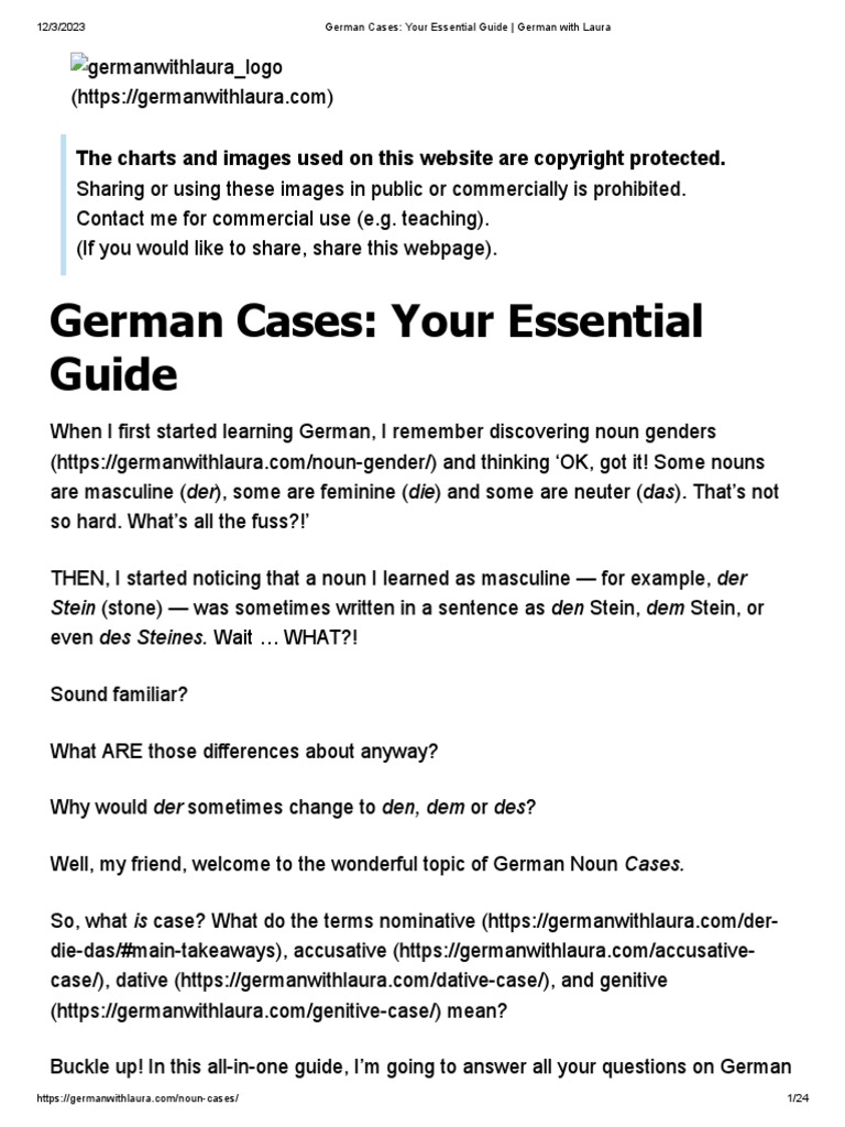 German Cases Your Essential Guide German With Laura PDF