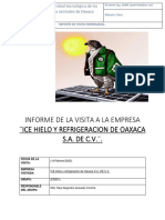 Informe Visita Empresarial Y.L.P