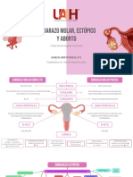 Mapa Mental Aborto, Embarazo Ectópico y Molar PDF