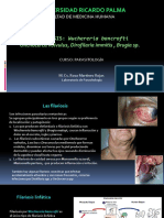 CLASE 9. FILARIASIS (1)