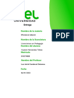 Eficiencia Laboral 1