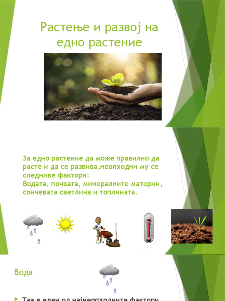 5 Растење и развој на едно растение | PDF