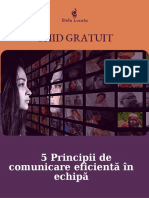 Ghid Gratuit: 5 Principii de Comunicare Eficientă În Echipă