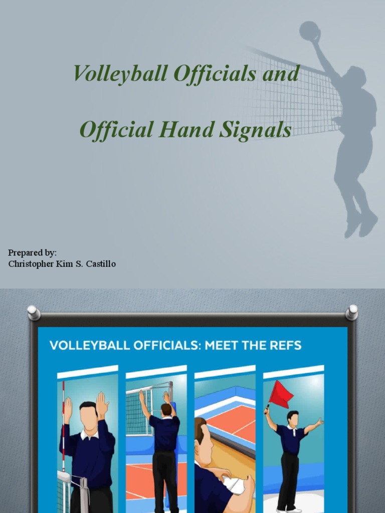 Volleyball Officials and PDF