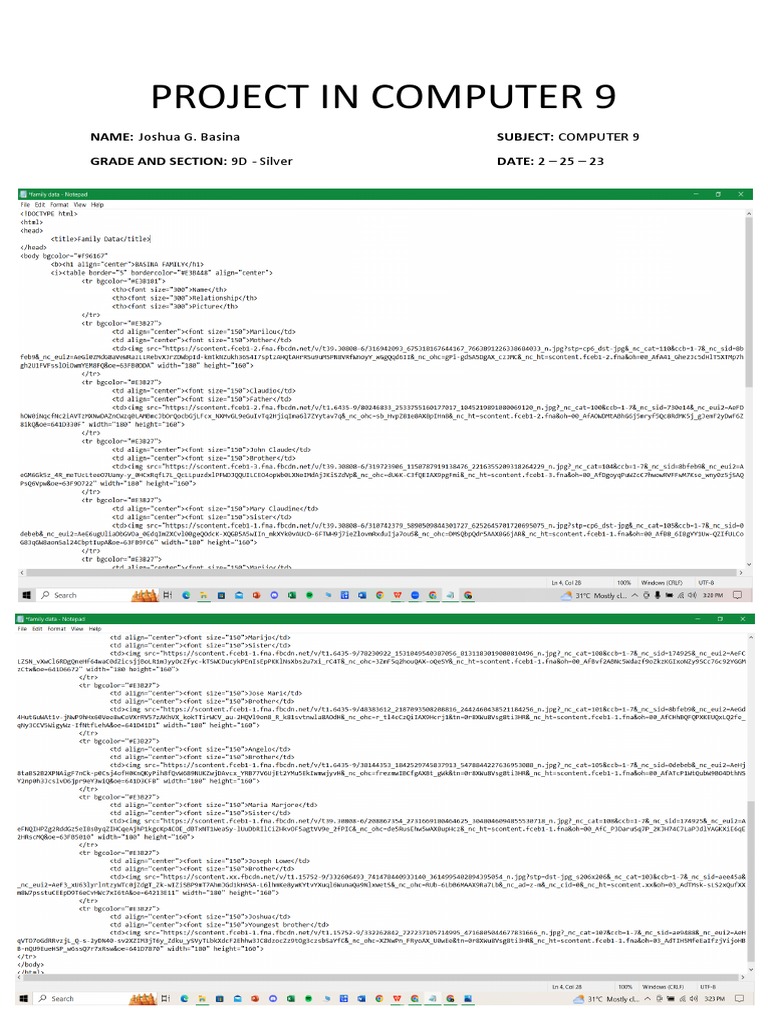 Project in Computer 9 PDF | PDF