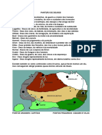 ESPECTROS Segunda Edicao PDF