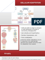 Cellular adaptation-GD