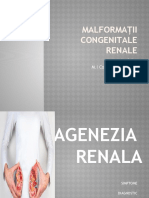 Malformații Congenitale Renale