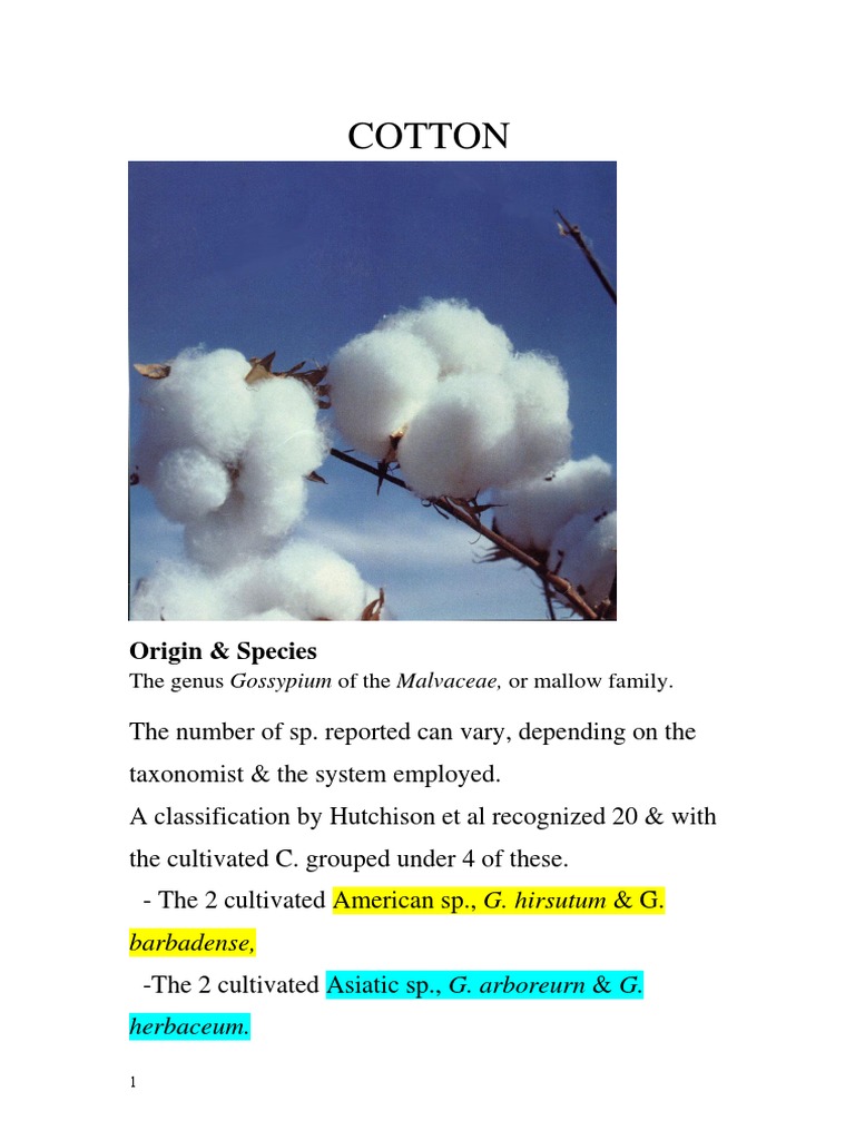 Fiber Crops Cotton PDF Spinning (Textiles) Yarn