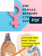 THE Female Reprodu Ctive System