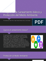 Programa de Saneamiento básico y Protección del Medio.pptx