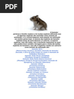 Download Hamster by Annynha1 SN63204502 doc pdf