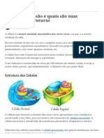 Células: o Que São e Quais São Suas Principais Estruturas - Toda Matéria PDF