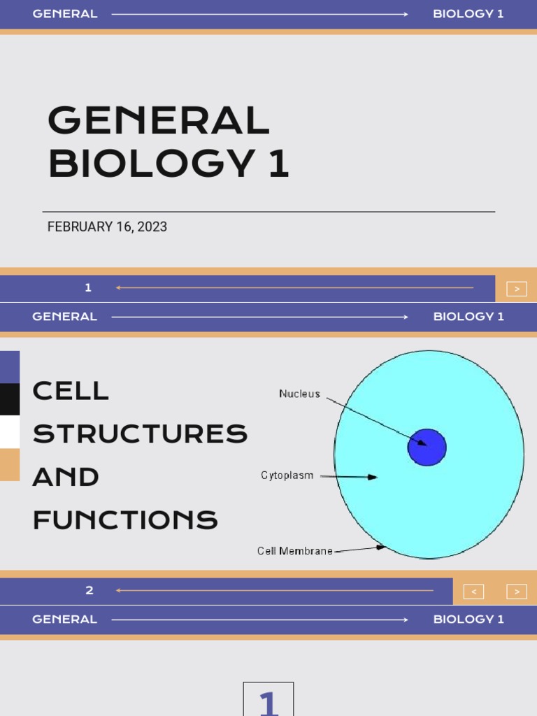 Cell Structures | PDF | Cell (Biology) | Endoplasmic Reticulum