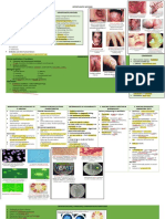 Opportunistic Mycoses