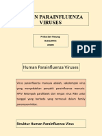 HUMAN PARAINFLUENZA VIRUSES Salinan