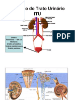 ITU - Aula